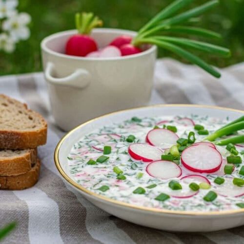 Cold summer soup with radishes, cucumbers, and fresh herbs, served outdoors. BookOfFoods